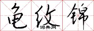 龟纹锦怎么写好看