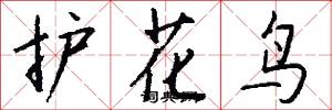 护花鸟怎么写好看