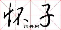 怀子怎么写好看