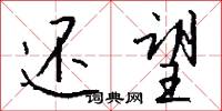还望怎么写好看