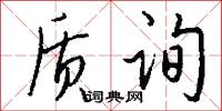 质询怎么写好看