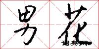 男花怎么写好看
