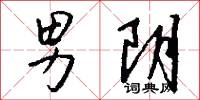 男阴怎么写好看