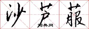 沙芦菔怎么写好看