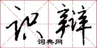 识辩怎么写好看