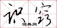 识窍怎么写好看