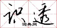 识透怎么写好看