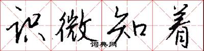 识微知着怎么写好看