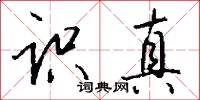 识真怎么写好看