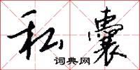 私囊怎么写好看