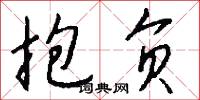 抱负怎么写好看
