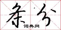 条分怎么写好看