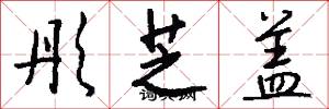 彤芝盖怎么写好看