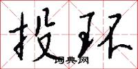 投环怎么写好看