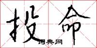 投命怎么写好看