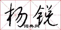 杨锐怎么写好看