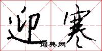 迎寒怎么写好看