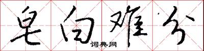 皂白难分怎么写好看