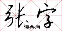 张字怎么写好看