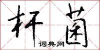 杆菌怎么写好看