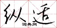 纵适怎么写好看