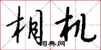 相机怎么写好看