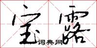 宝露怎么写好看