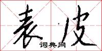 表皮怎么写好看