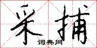 采捕怎么写好看