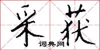 采获怎么写好看