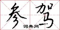 参驾怎么写好看