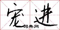 宠进怎么写好看