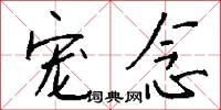 宠念怎么写好看