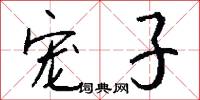 宠子怎么写好看