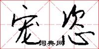 宠恣怎么写好看