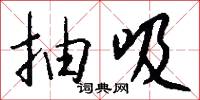 抽吸怎么写好看
