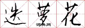迭萝花怎么写好看