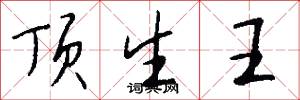 顶生王怎么写好看
