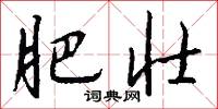 肥壮怎么写好看