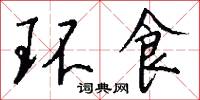 环食怎么写好看