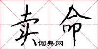 卖命怎么写好看