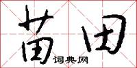 苗田怎么写好看