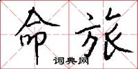 命旅怎么写好看