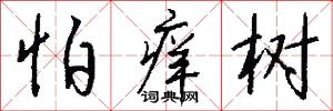 怕痒树怎么写好看
