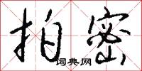 拍密怎么写好看