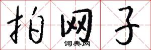 拍网子怎么写好看