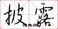披露怎么写好看