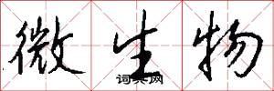 微生物怎么写好看