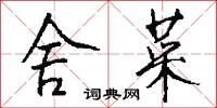 舍菜怎么写好看