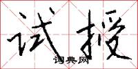试授怎么写好看